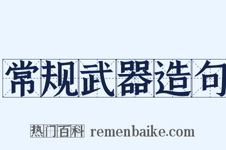 常规武器造句是什么意思的图片